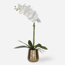 Planters